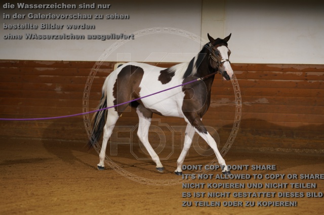 s_K3F01760.JPG